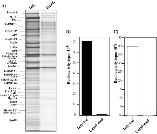 FIG. 8.