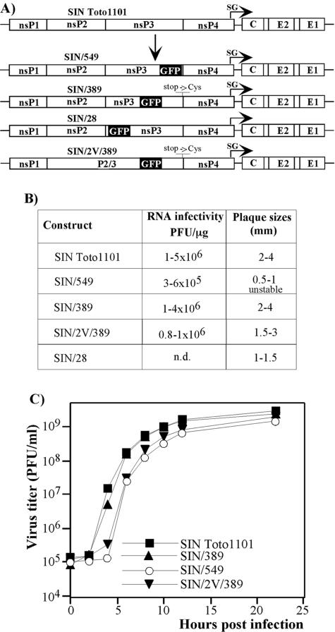 FIG. 1.