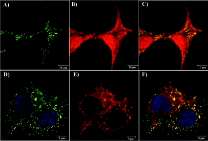 FIG. 4.