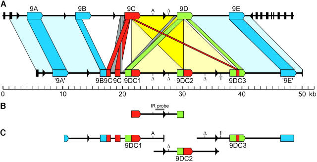 Figure 2.—