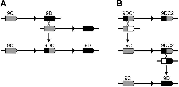 Figure 5.—