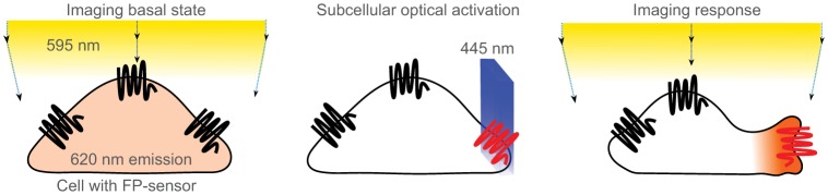 Fig. 1.