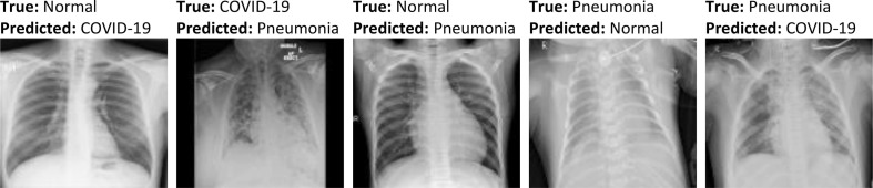 Fig. 11