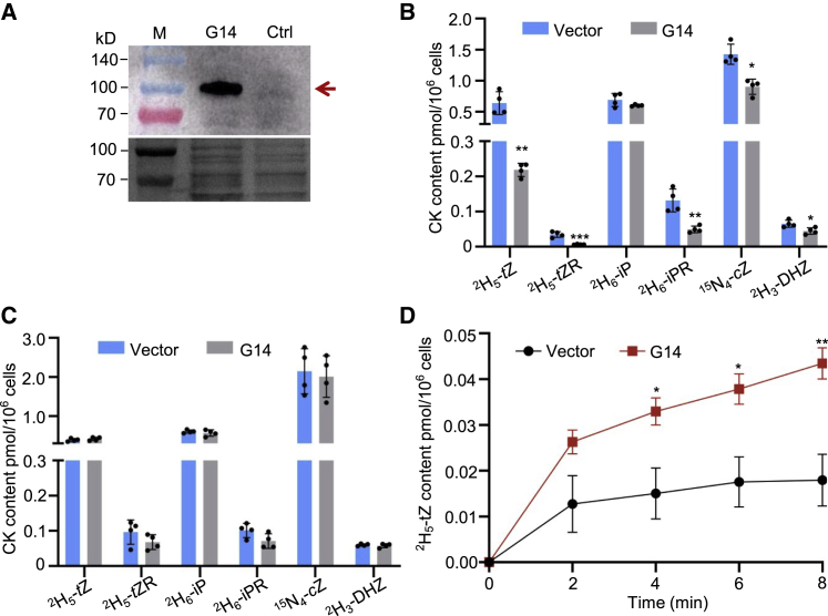 Figure 3