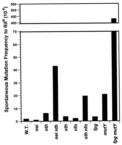 FIG. 1