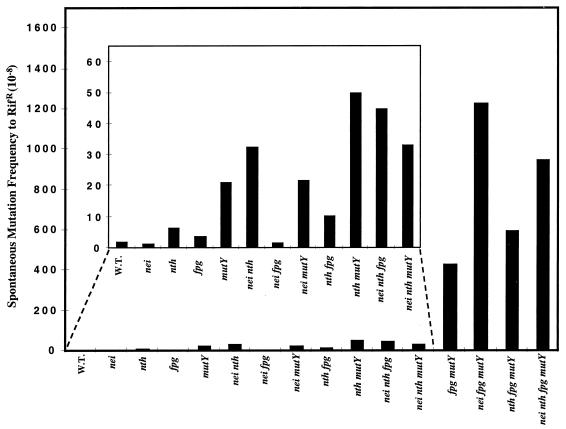 FIG. 3