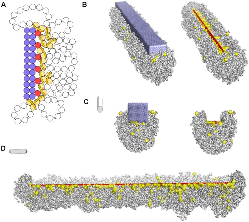 Figure 7.