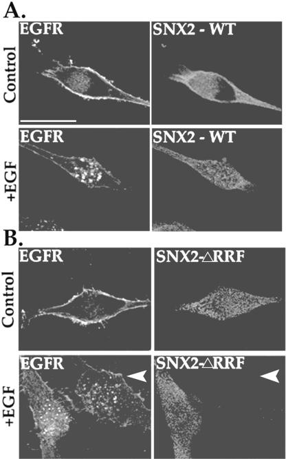 Figure 9.