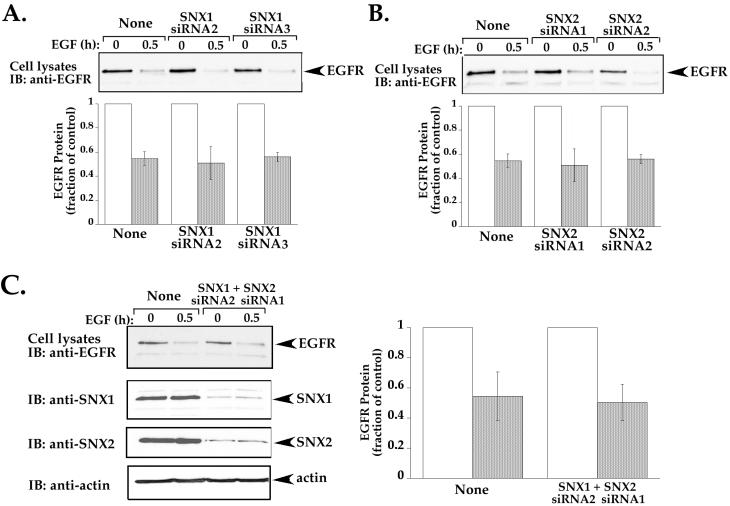 Figure 12.