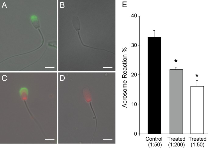 Fig. 8.