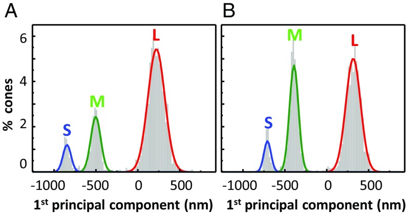 Fig. 5.