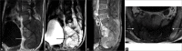 Figure 13: