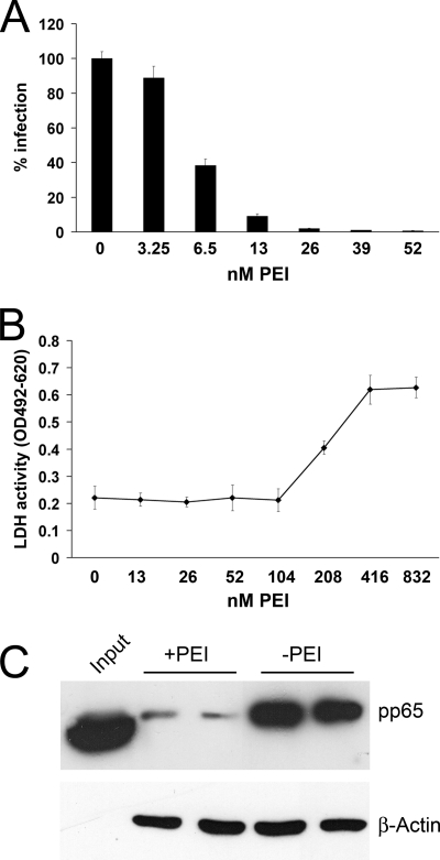 Fig 5