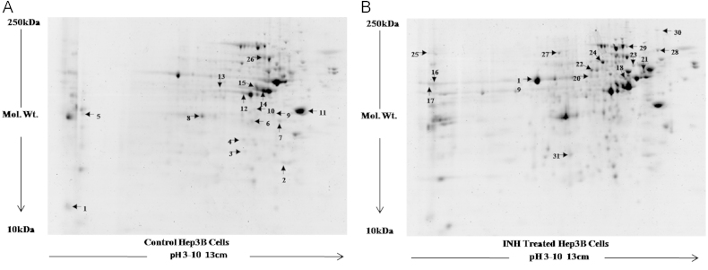 Fig. 9