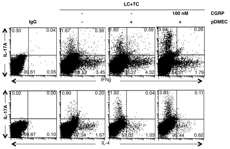 FIGURE 3