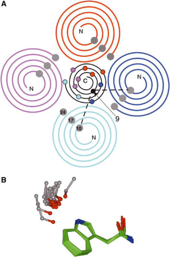 Figure 9