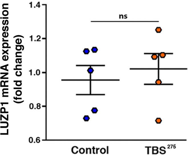 Figure 9—figure supplement 2.