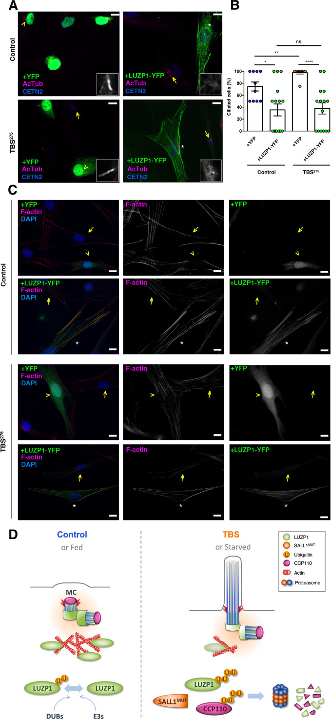 Figure 10.