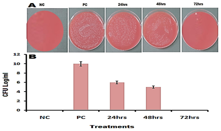 Figure 11