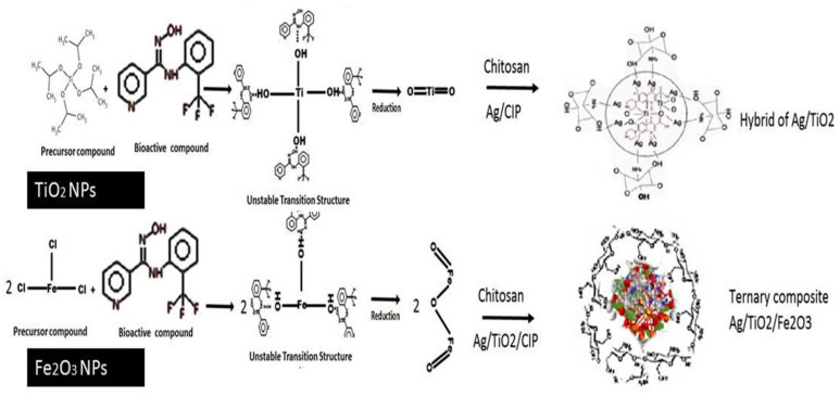 Scheme 2