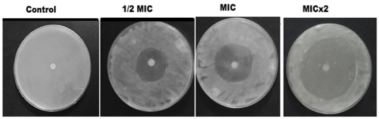 Figure 6