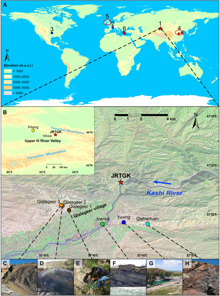 Fig. 1.