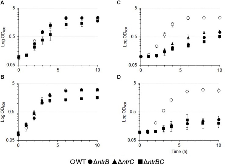 FIGURE 3