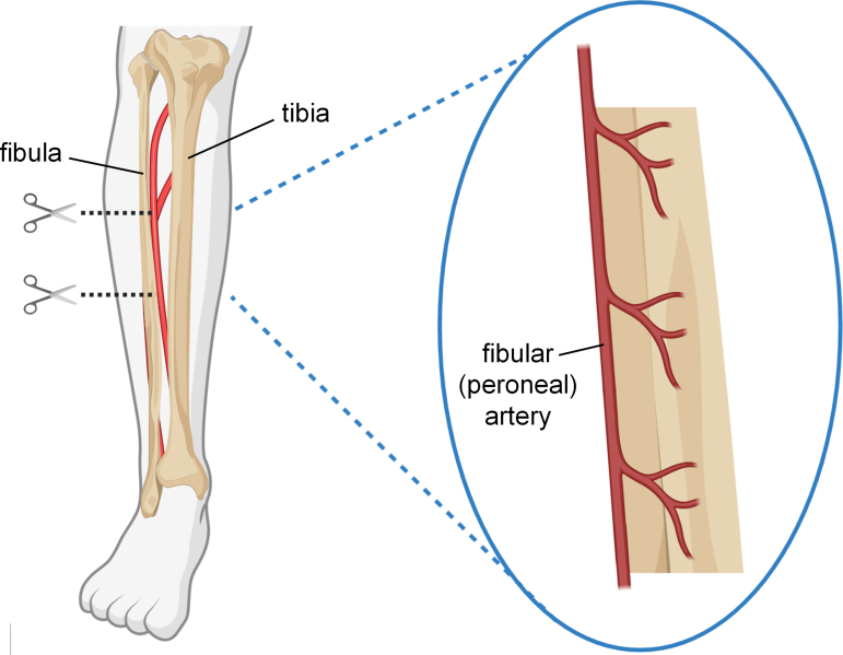 FIG. 3.