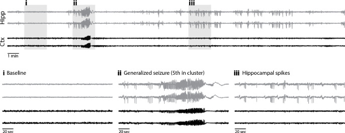 Figure 2: