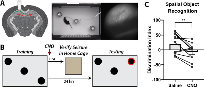 Figure 3: