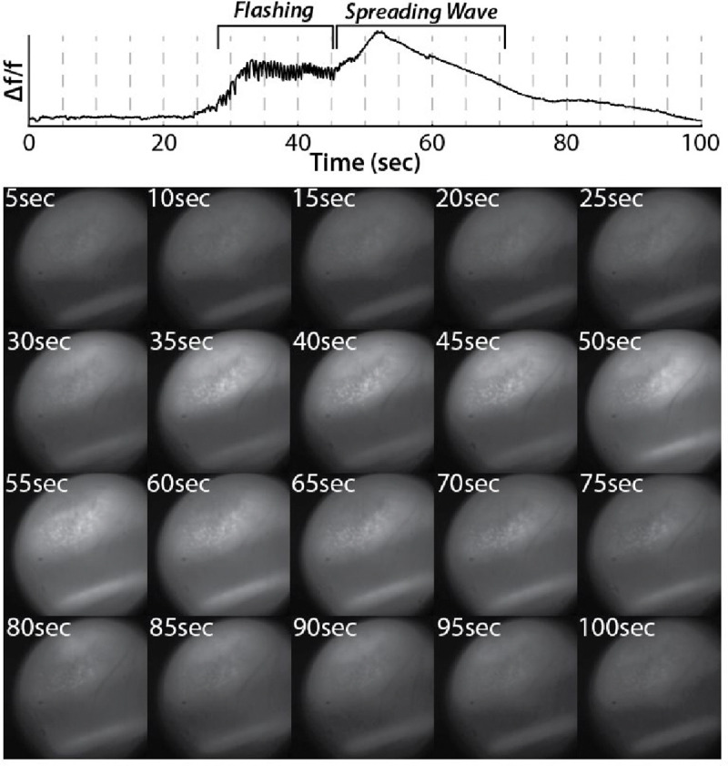 Figure 4: