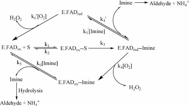 Fig.5