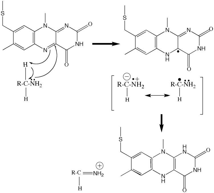 Fig.9