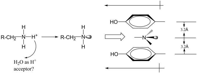 Fig.10