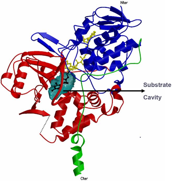 Fig.3