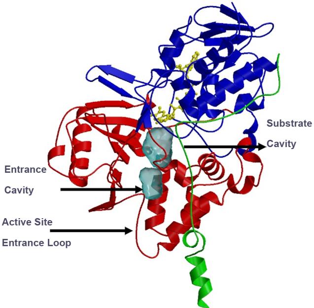 Fig.1