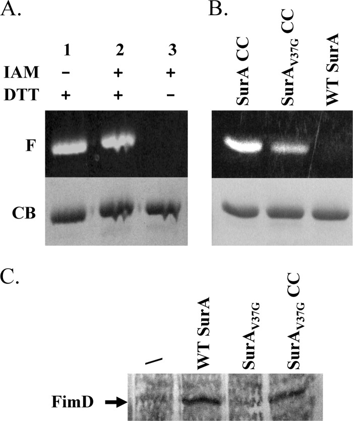 Fig 4