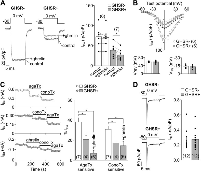 Figure 5.