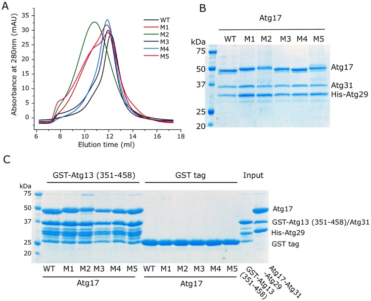 Fig 10