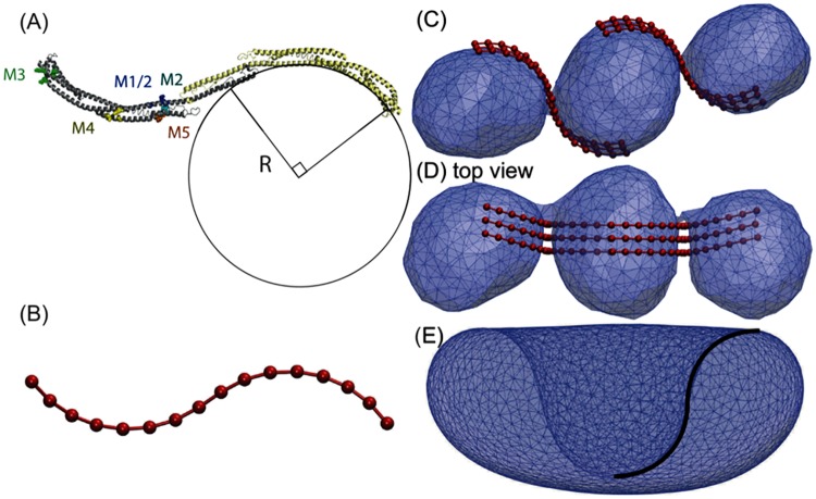 Fig 4