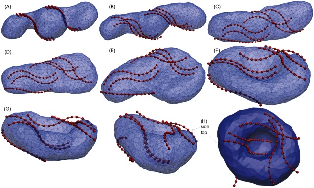 Fig 5