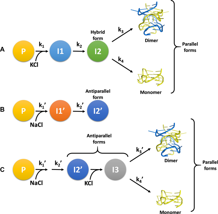 Figure 9.