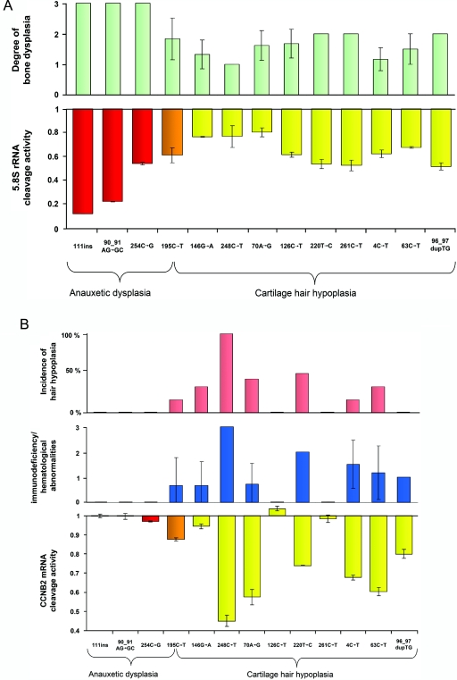 Figure  3. 