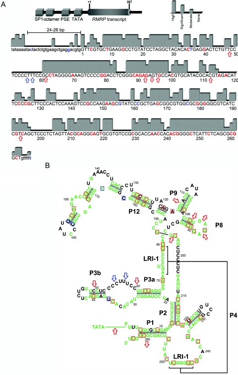 Figure  2. 