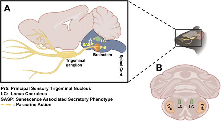 FIG 1