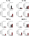 FIG 6