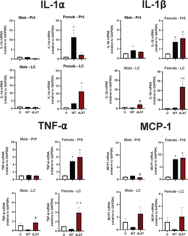 FIG 6