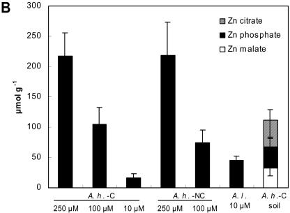 Figure 4B.