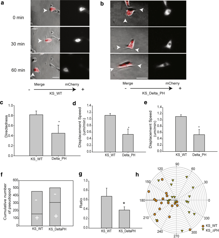 Figure 6