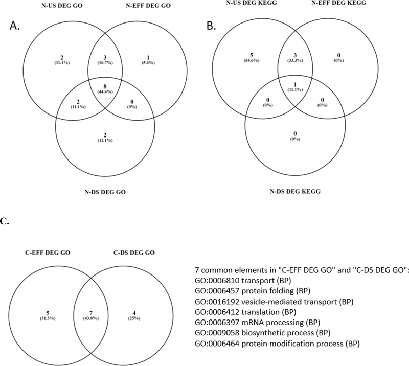 Figure 3 –